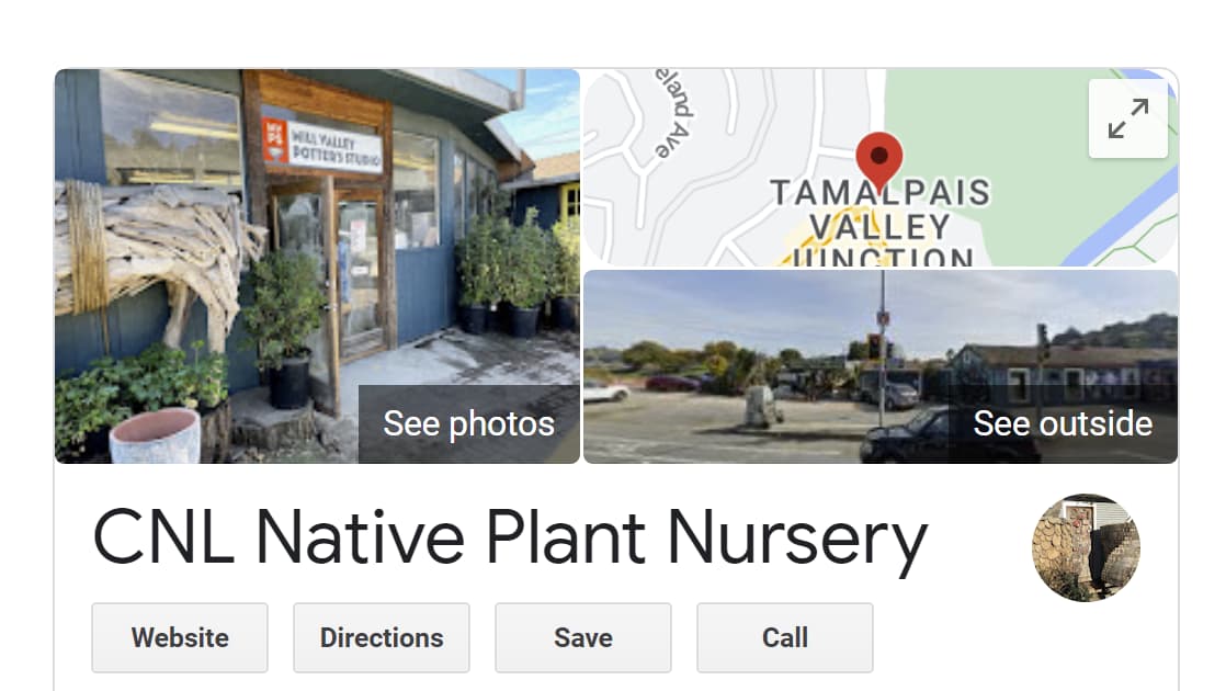 Business information for a native plant nursery in Mill Valley, California as displayed by Google