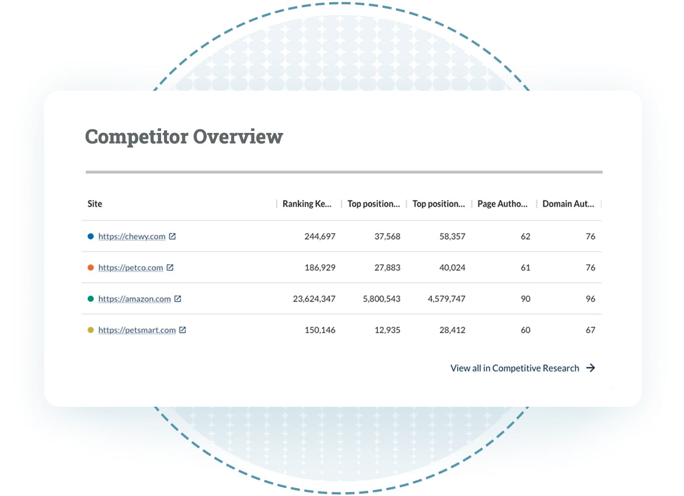 Competitor overview