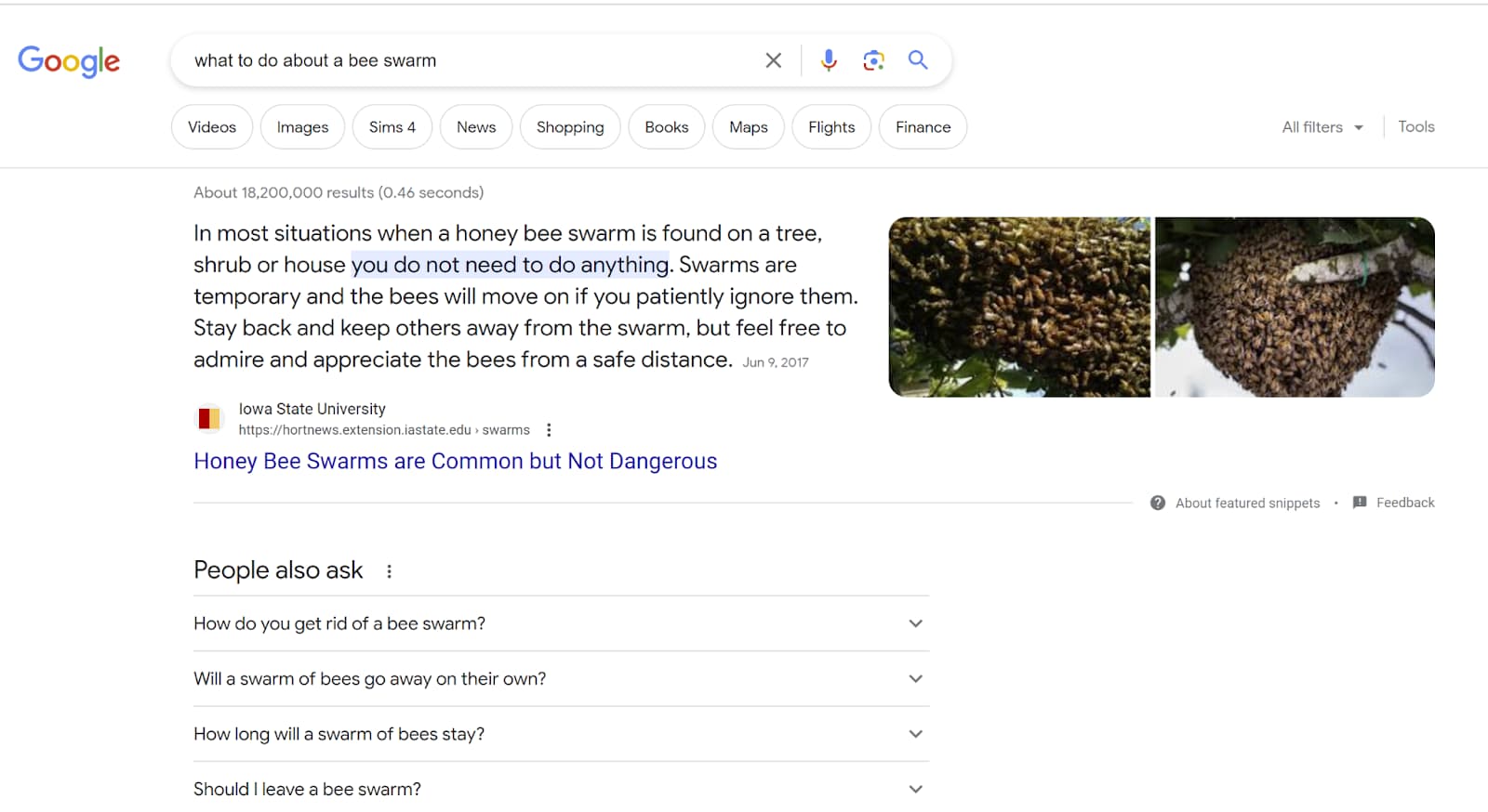 Featured Snippet for the search phrase ‘what to do about a bee swarm"