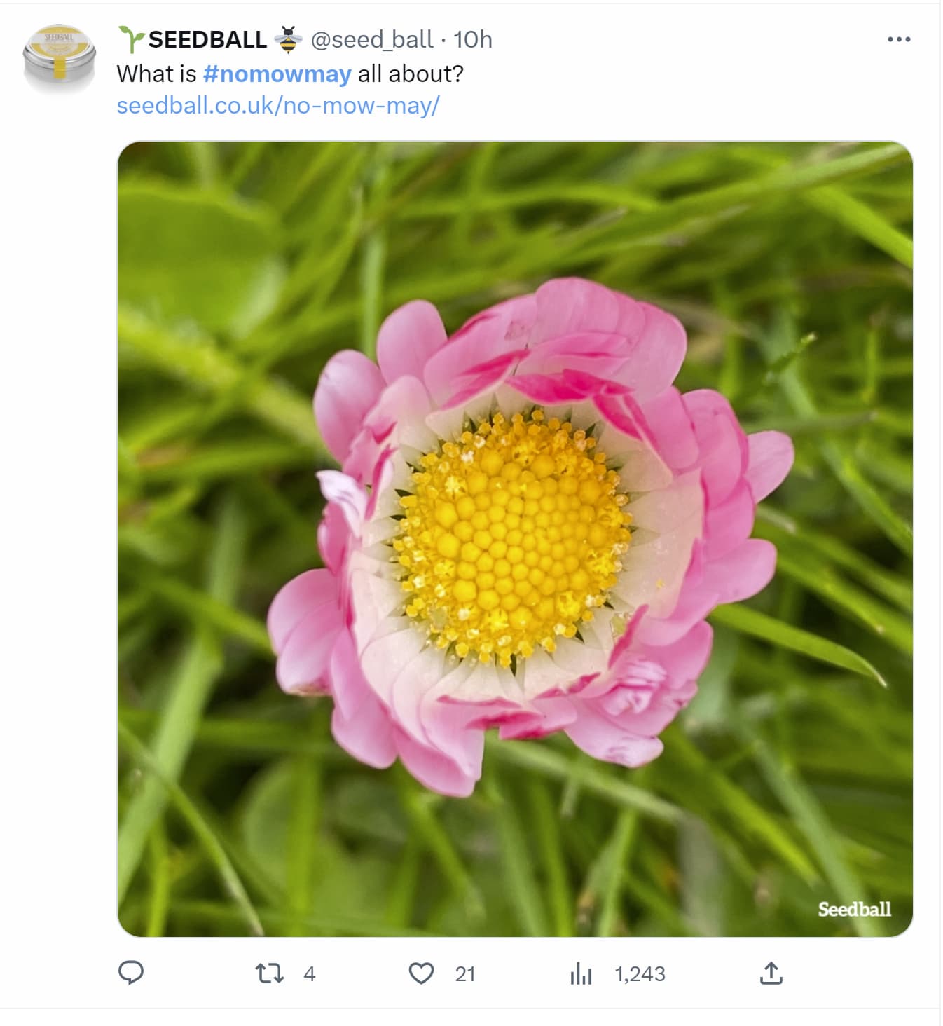 Image of a company supporting ‘no mow May’ on X