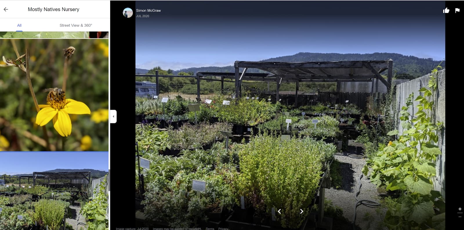 Adding images to the Google Business Profile of a native plant nursery in Point Reyes Station, California