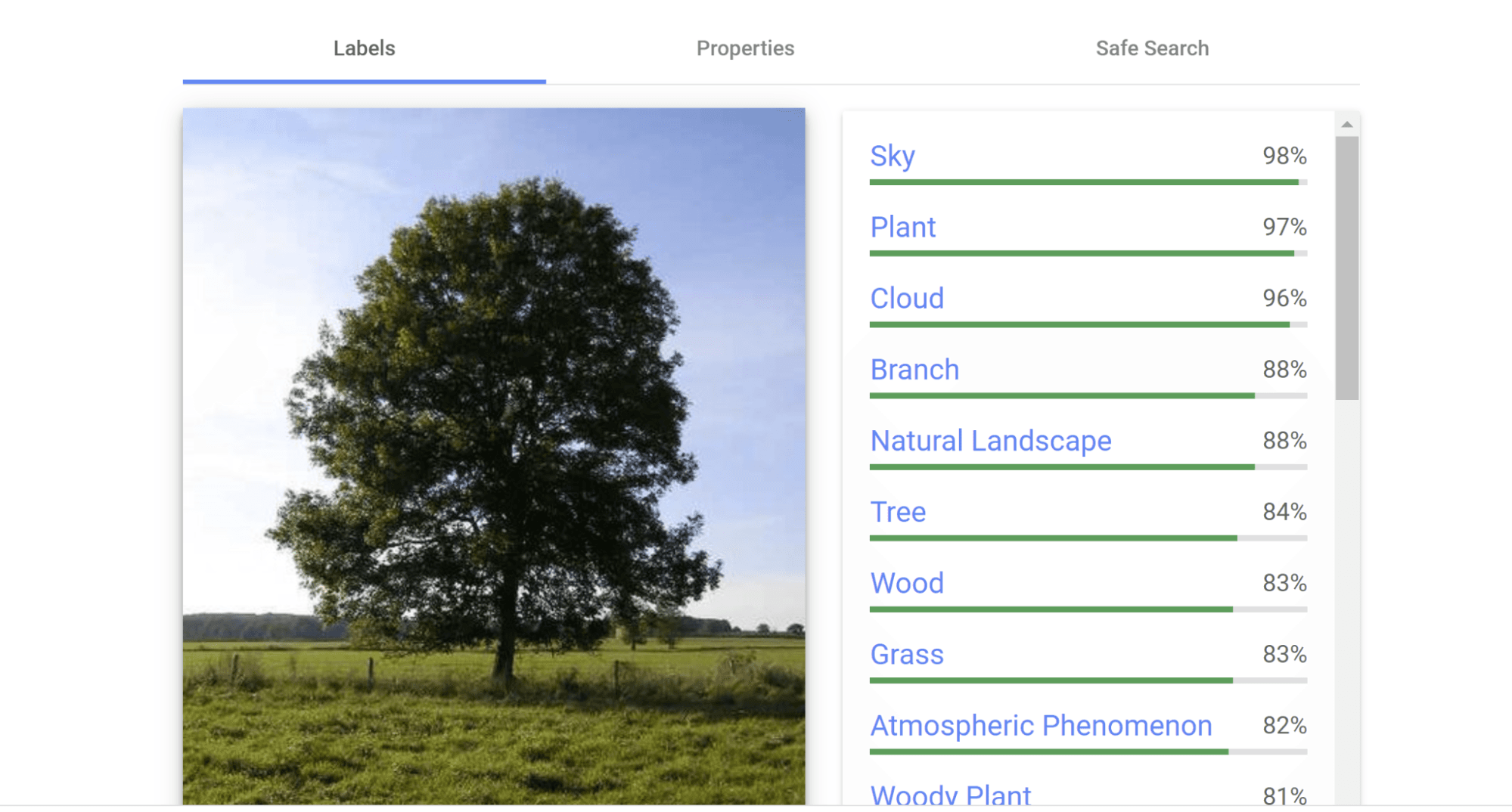screenshot of Google visual search