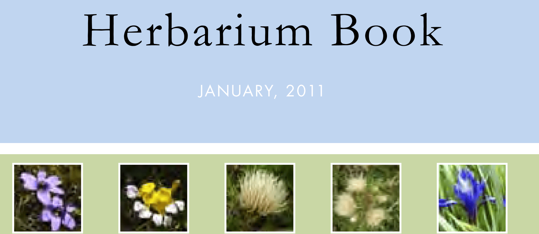 image of old guide published in 2011