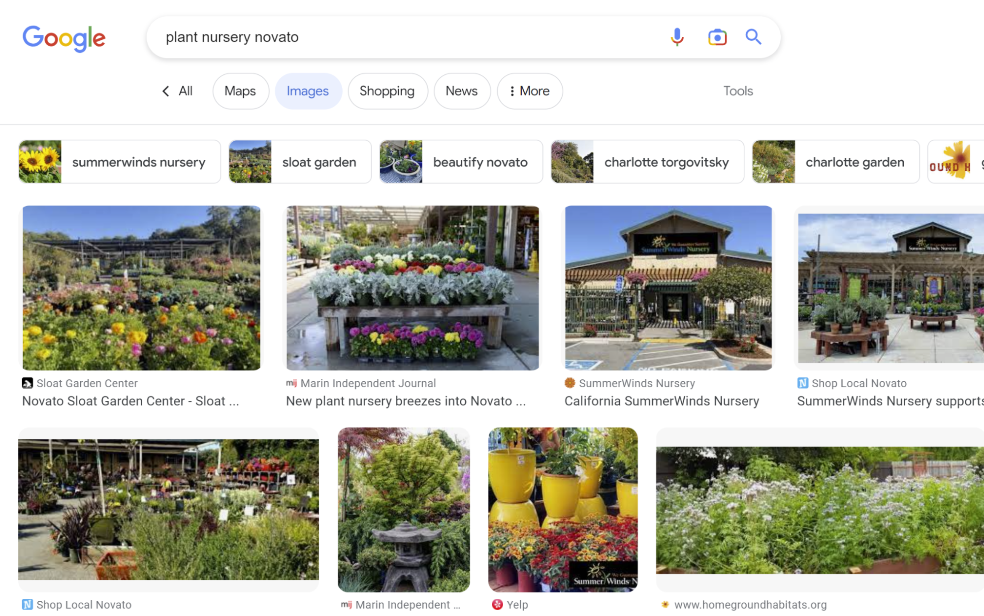screenshot of Google image search