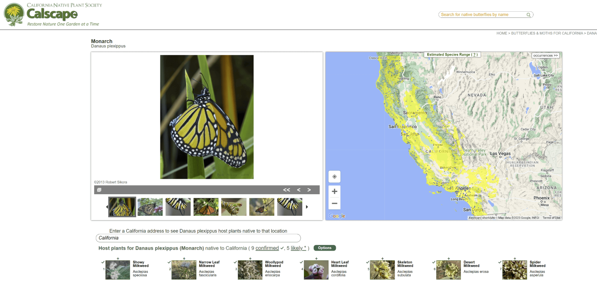 Example of internal links on calscape.org from a page on butterflies to a page on milkweed