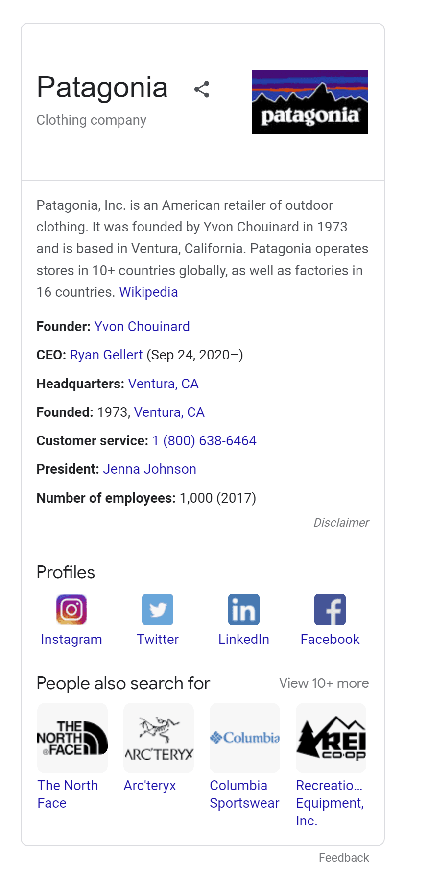 Knowledge Panel on the SERP for the brand 'Patagonia'