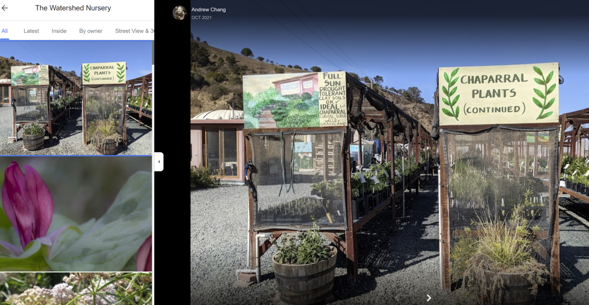 Screenshot of plant nursery with photo taken by Google Street View showing signage