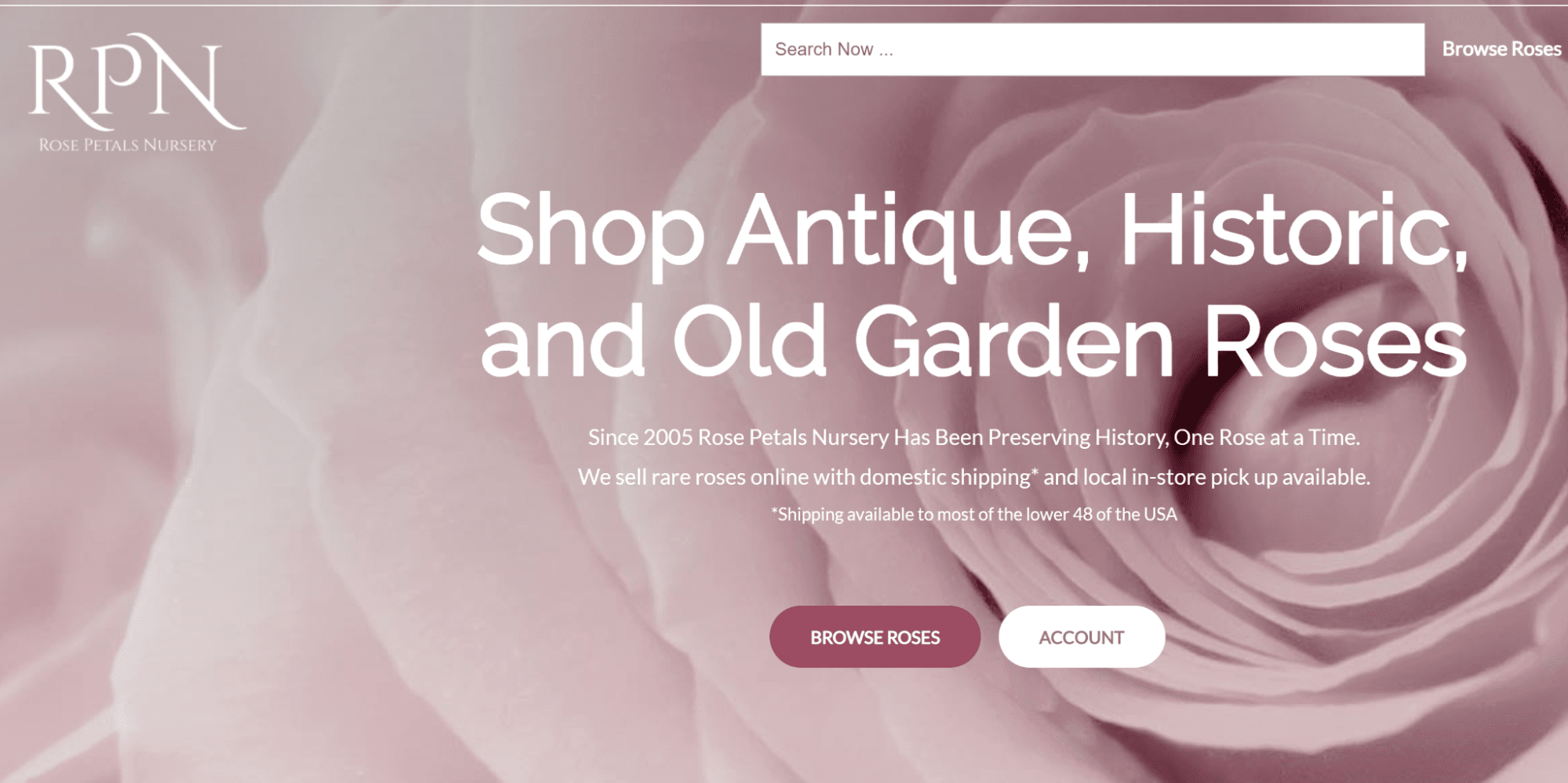 Unique value proposition of Rose Petal Nursery as featured on rosepetalsnursery.com