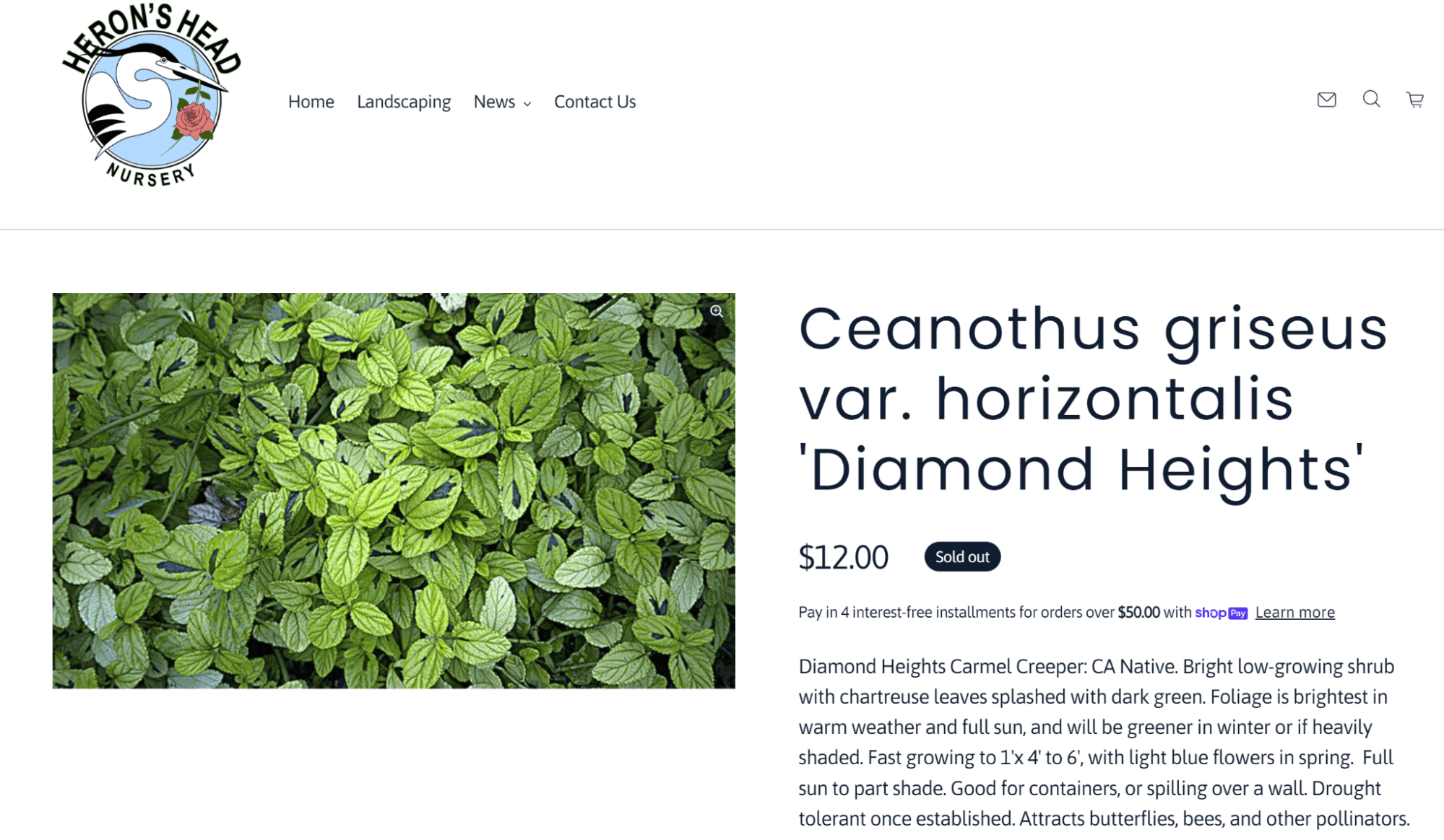 Screenshot of sample product page on Heron's Head Nursery