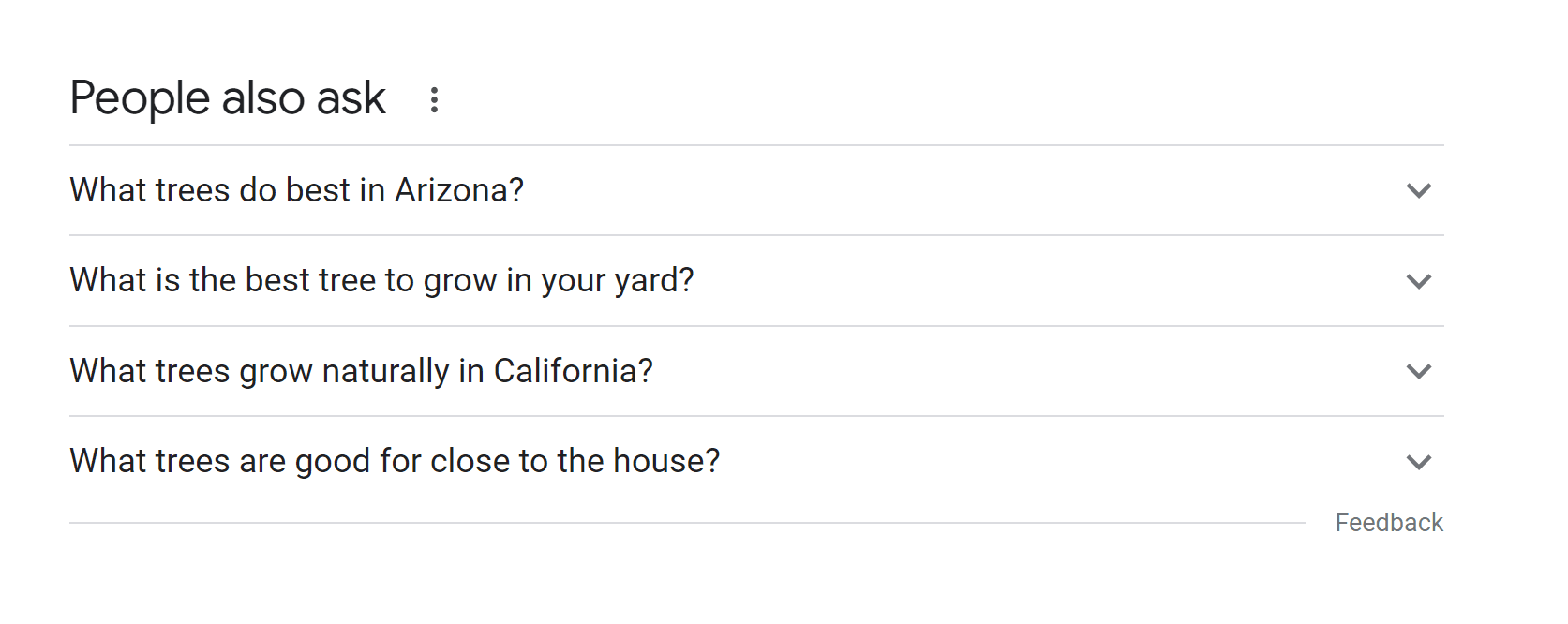 Screenshot of People Also Ask in Google