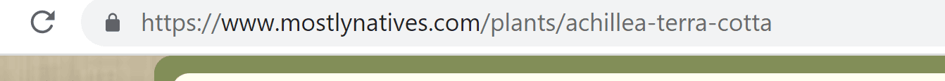 Screenshot of complete URL for Garden Center showing a product for sale